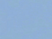 HookedOnWalls Caribbean Plain - 27280