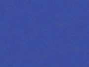 HookedOnWalls Caribbean Plain - 27281