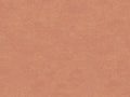 HookedOnWalls Caribbean Plain - 27283