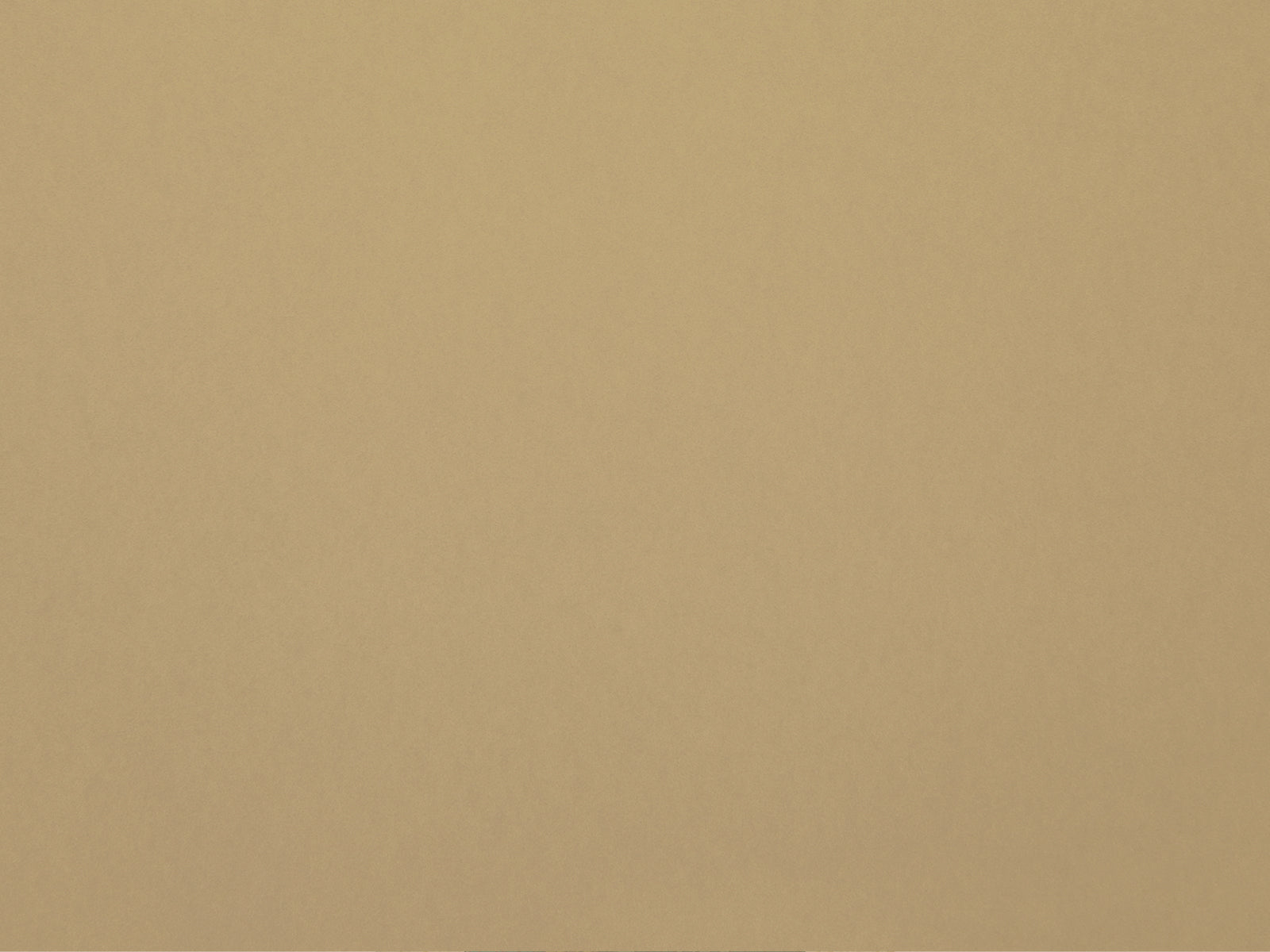HookedOnWalls Young Traditionals Muro - 27850