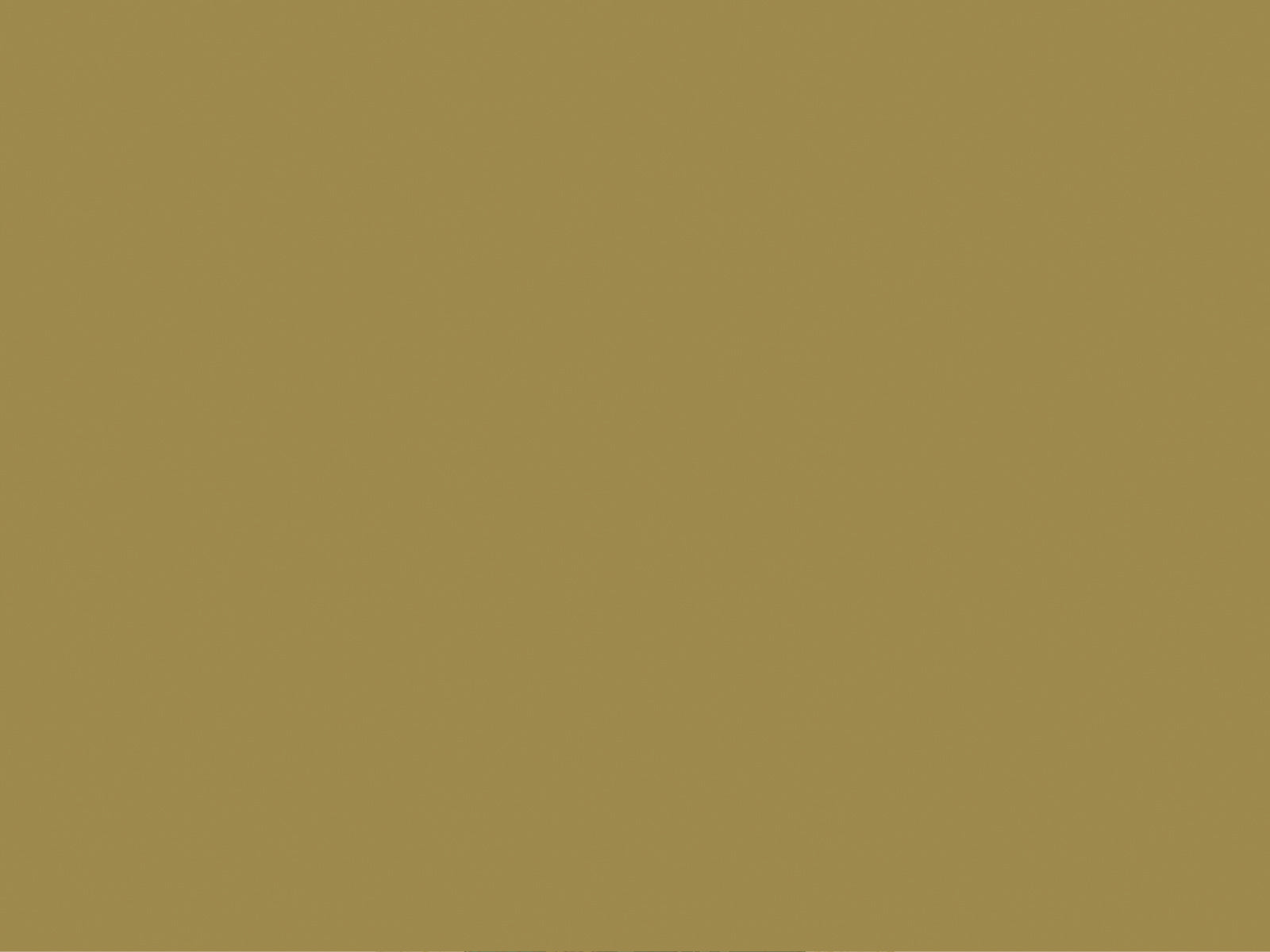 HookedOnWalls Young Traditionals Muro - 27855