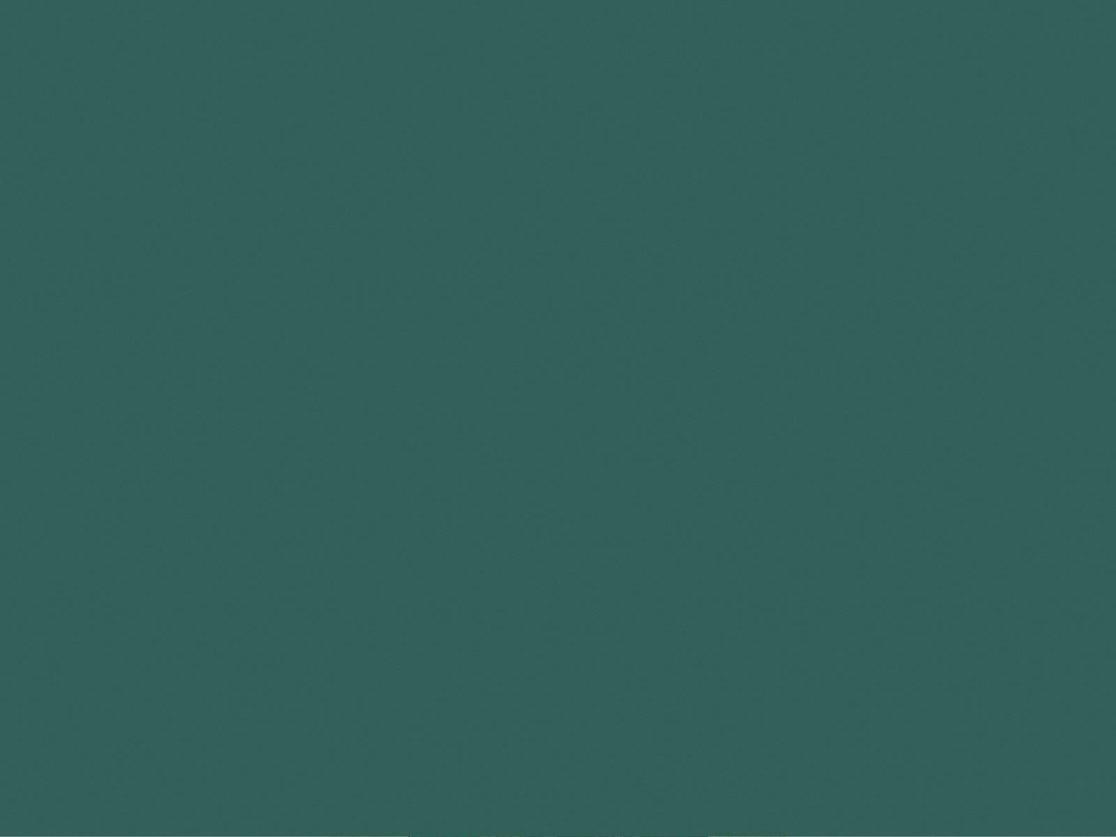 HookedOnWalls Young Traditionals Muro - 27857