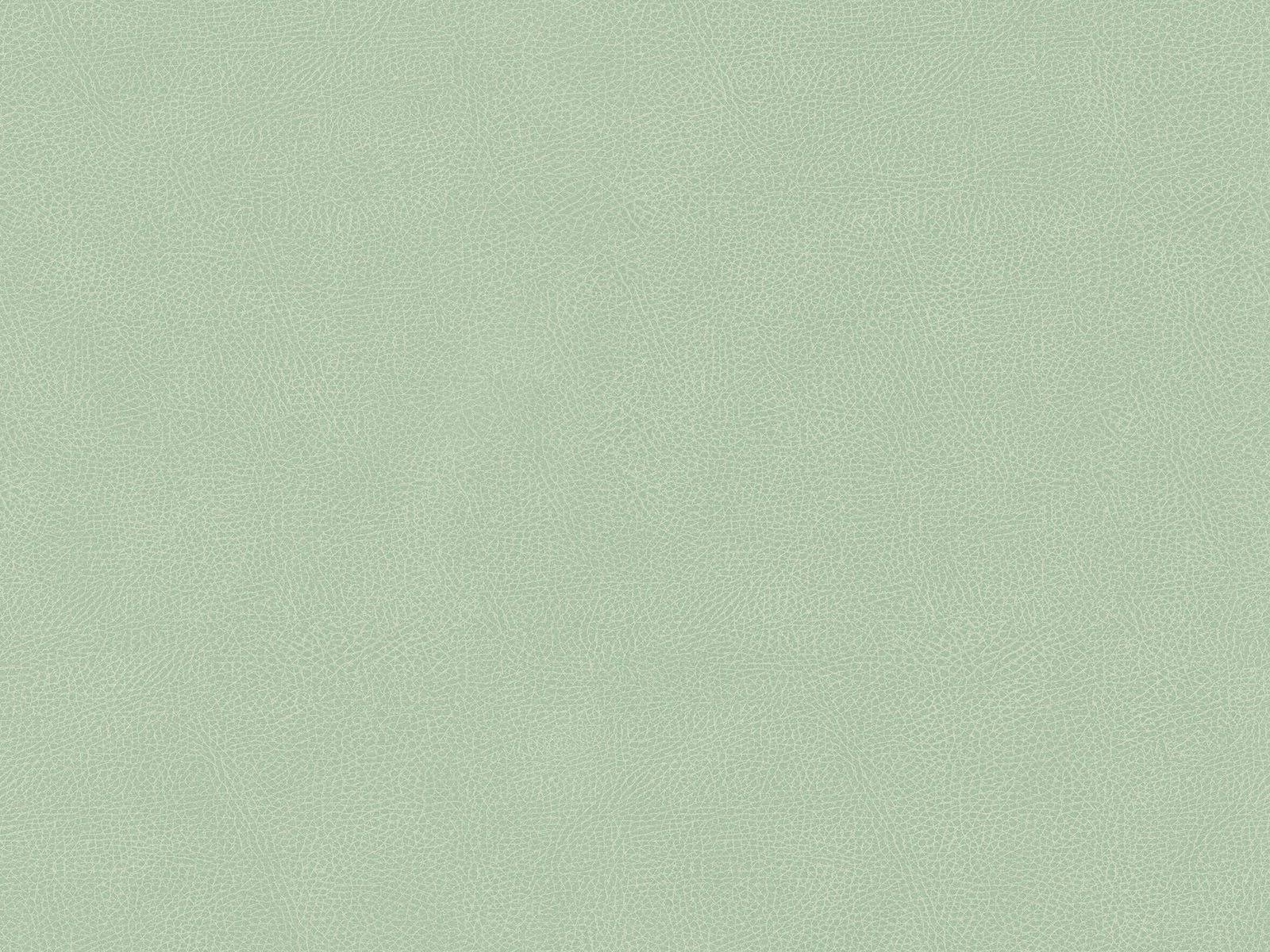 HookedOnWalls Passe Partout Colour Vibes - 29805