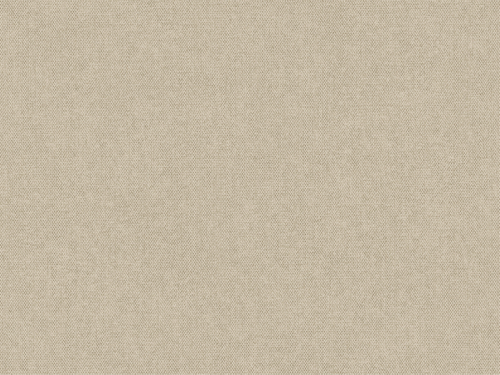 HookedOnWalls Passe Partout Colour Vibes - 29826