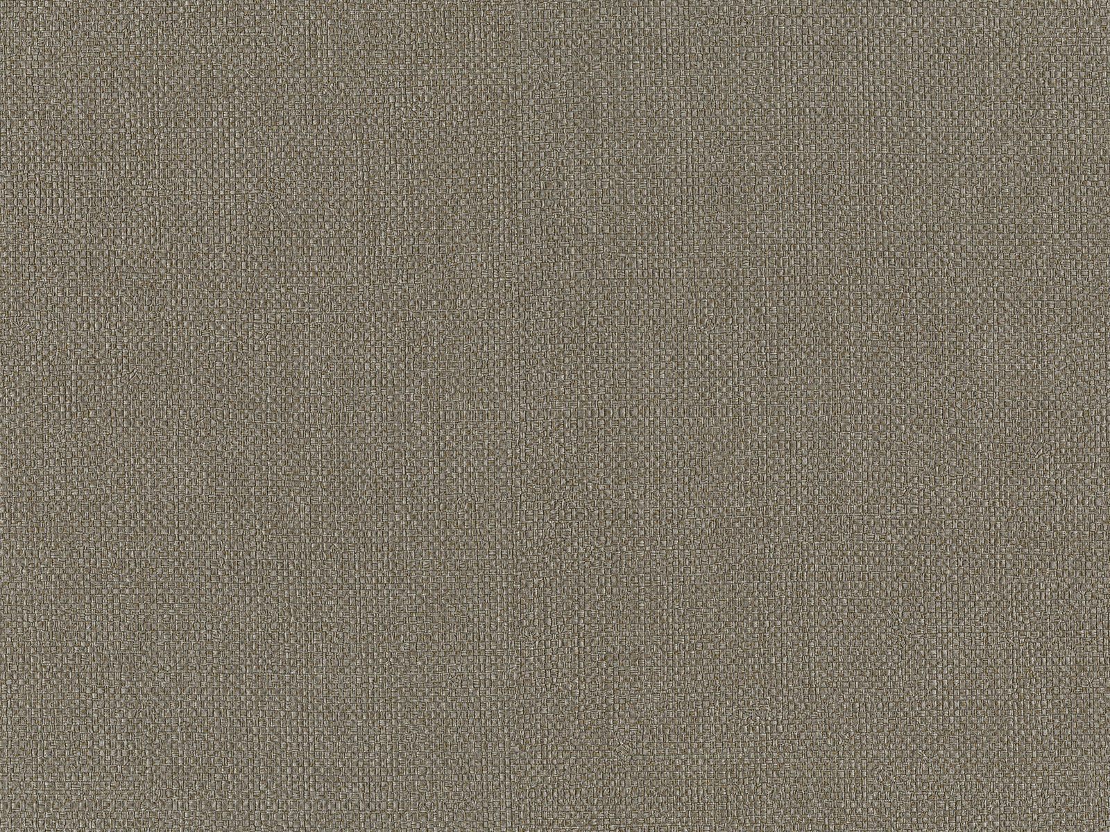 HookedOnWalls Passe Partout Colour Vibes - 29842
