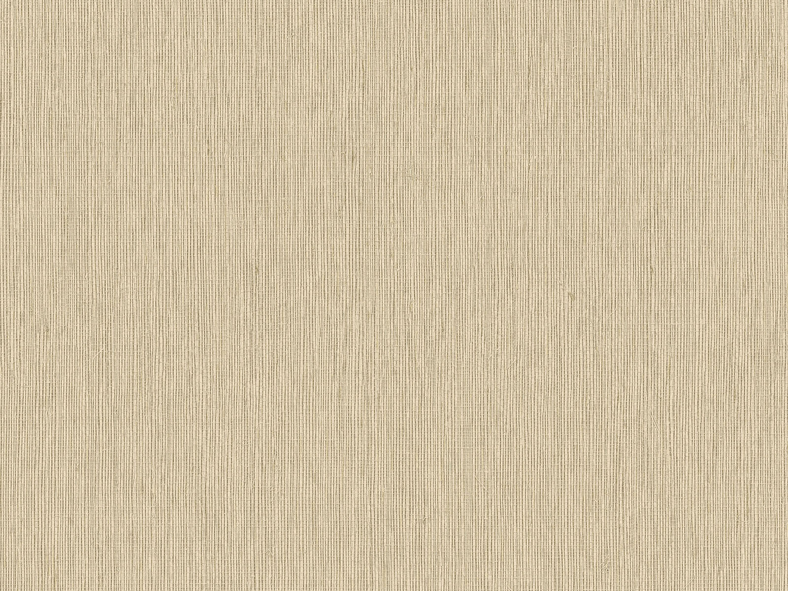 HookedOnWalls Passe Partout Colour Vibes - 29869