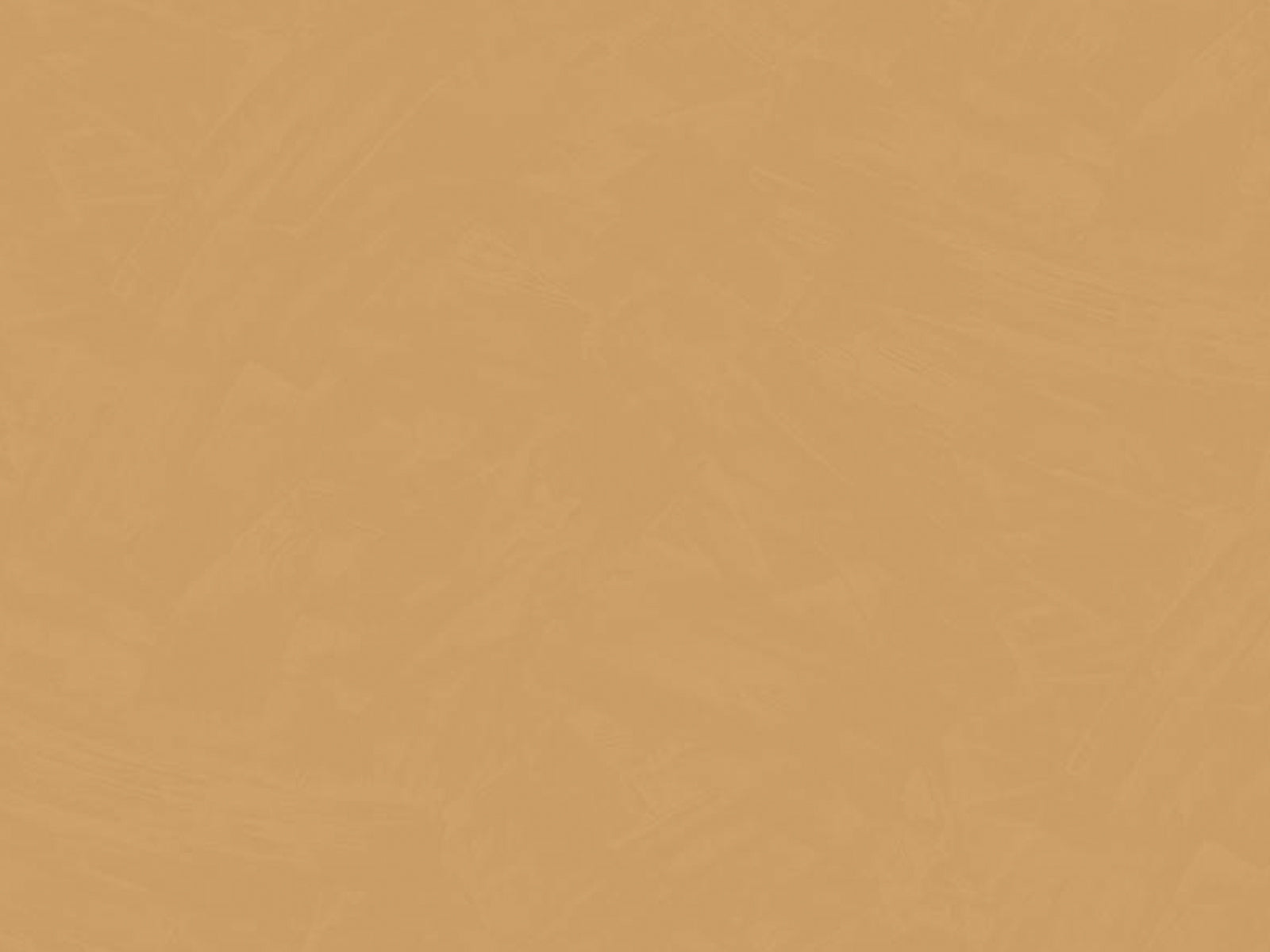 HookedOnWalls Passe Partout Colour Vibes - 29877