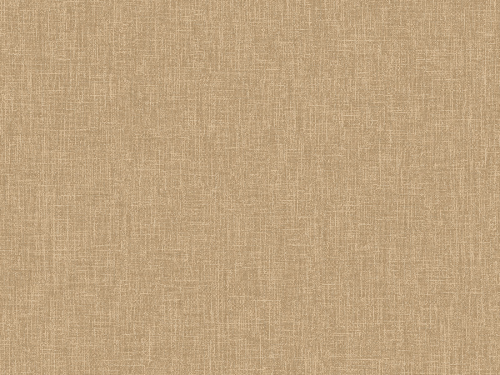 HookedOnWalls Passe Partout Colour Vibes - 29886