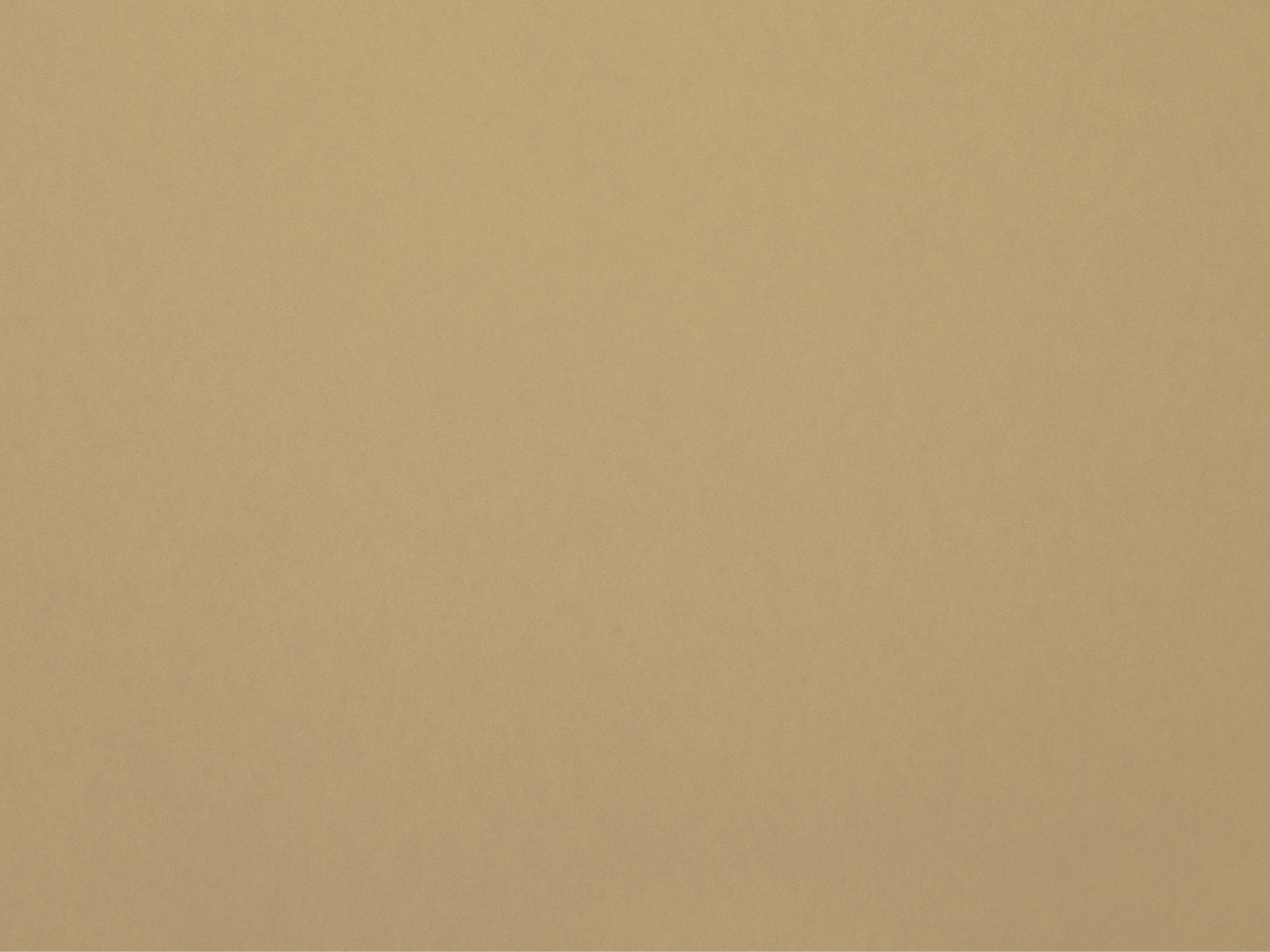 HookedOnWalls Passe Partout Colour Vibes - 29888