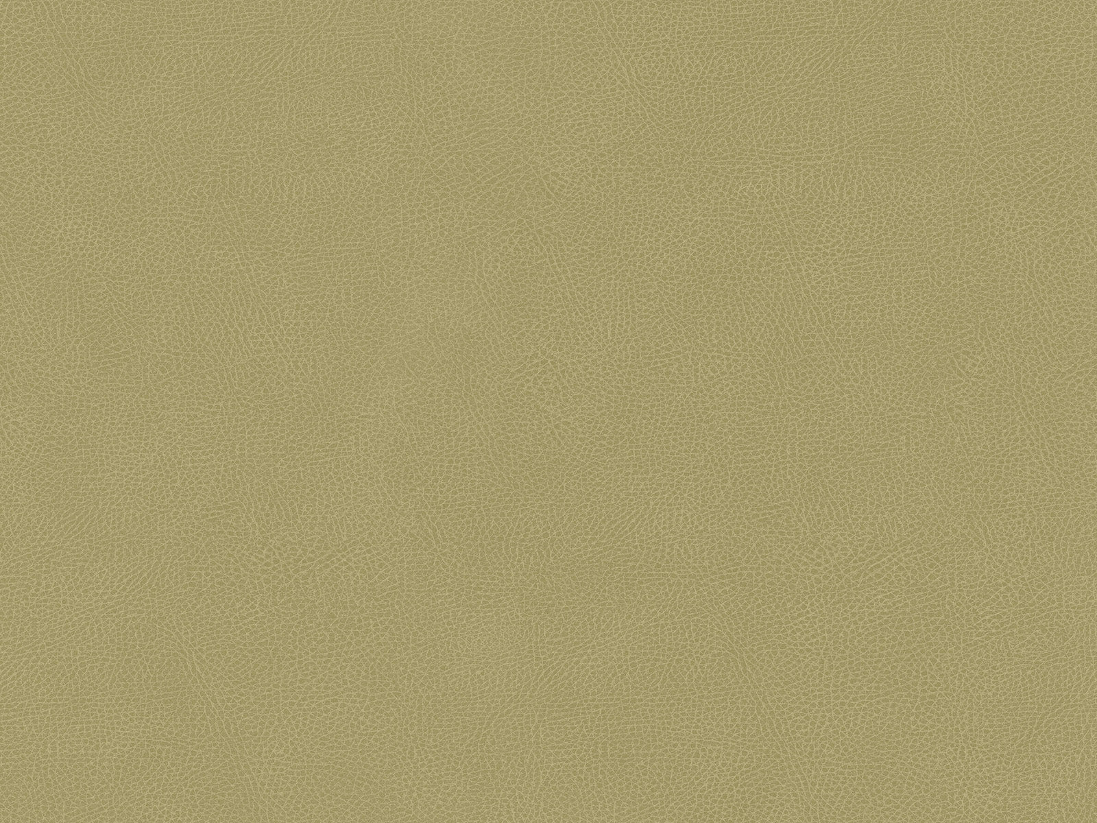 HookedOnWalls Passe Partout Colour Vibes - 29898