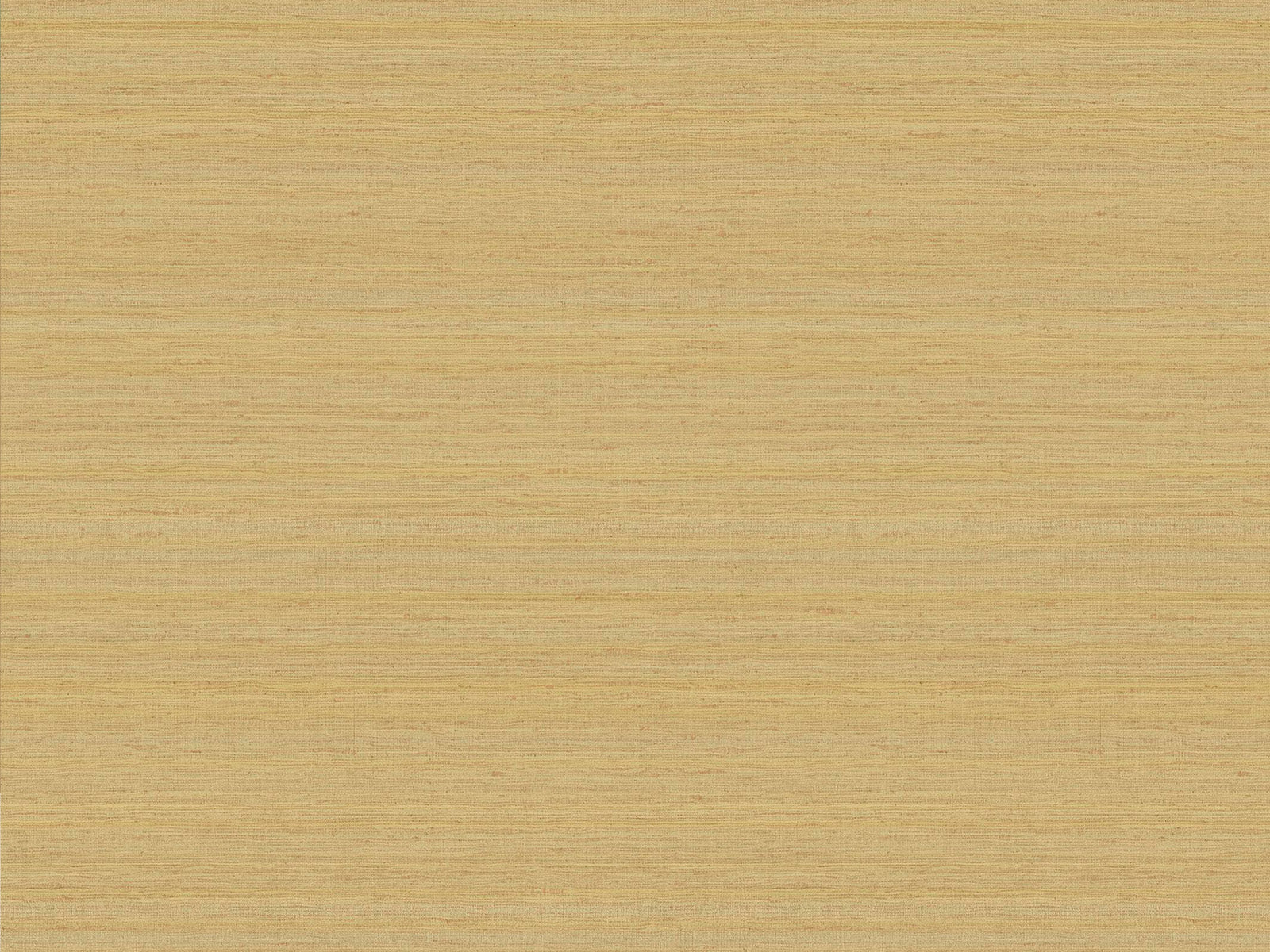 HookedOnWalls Passe Partout Colour Vibes - 29903