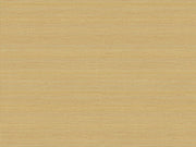 HookedOnWalls Passe Partout Colour Vibes - 29903