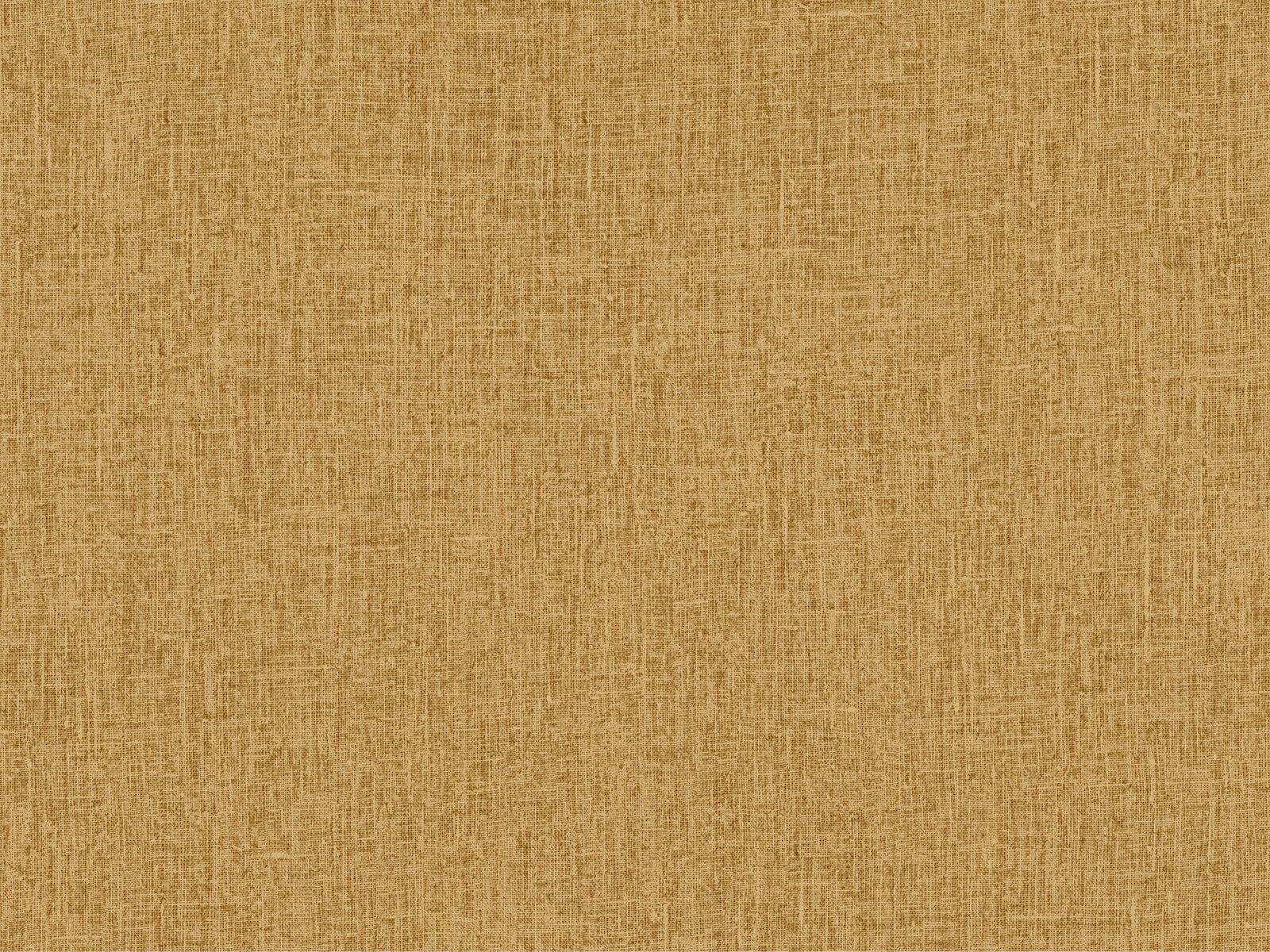 HookedOnWalls Passe Partout Colour Vibes - 29904