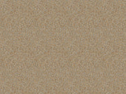 HookedOnWalls Passe Partout Colour Vibes - 29905