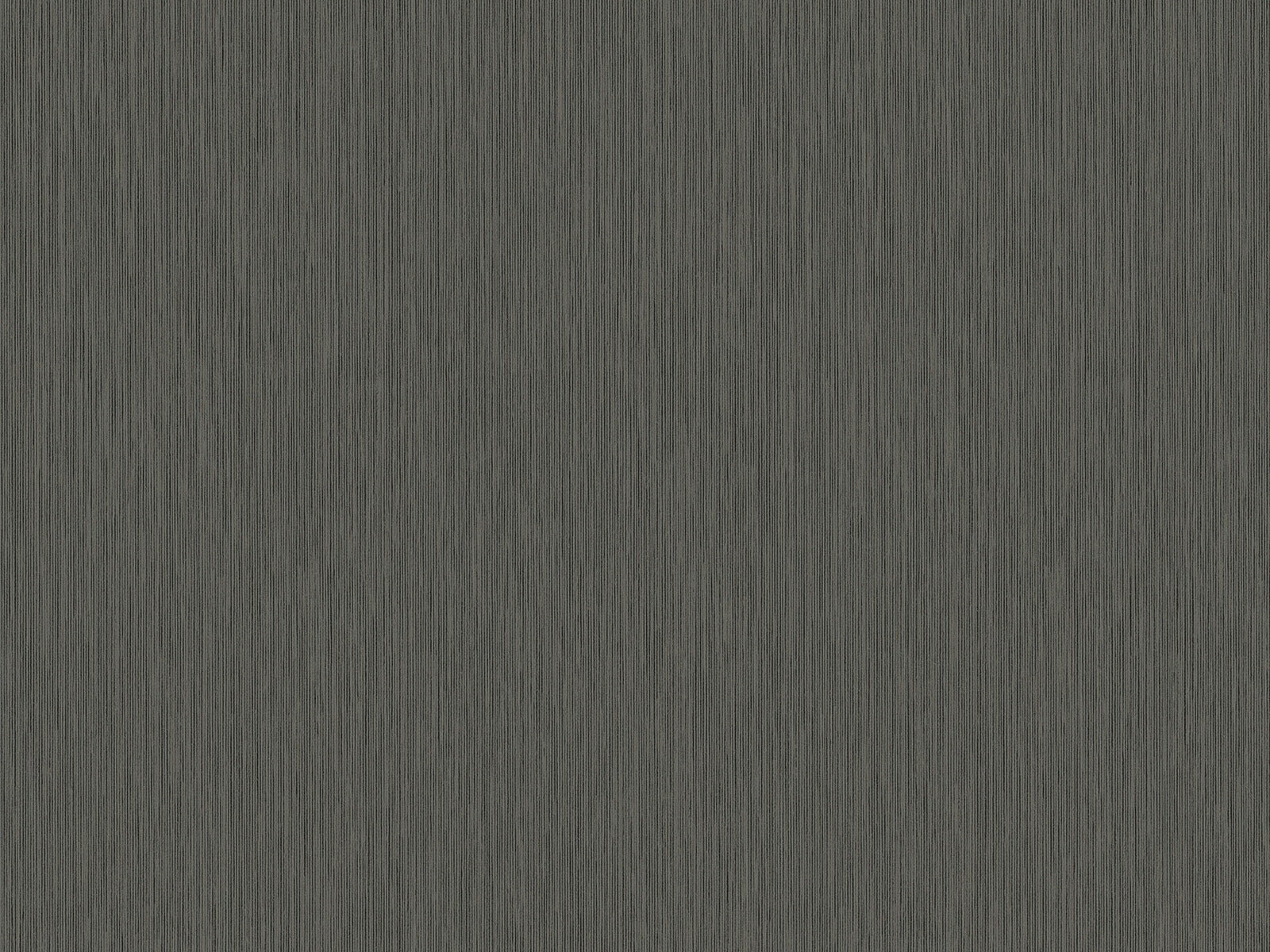 HookedOnWalls Passe Partout Colour Vibes - 29933