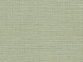 HookedOnWalls Umami Aji - 30233
