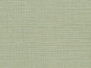 HookedOnWalls Umami Aji - 30233