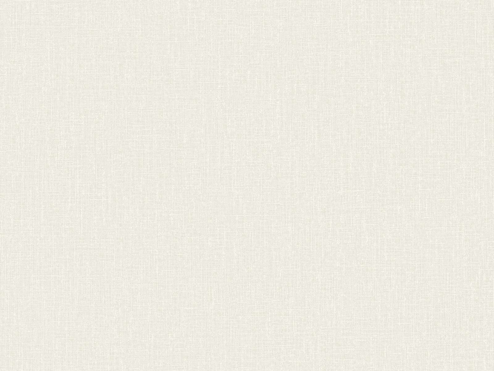 HookedOnWalls Neutralizer Plain - 31601