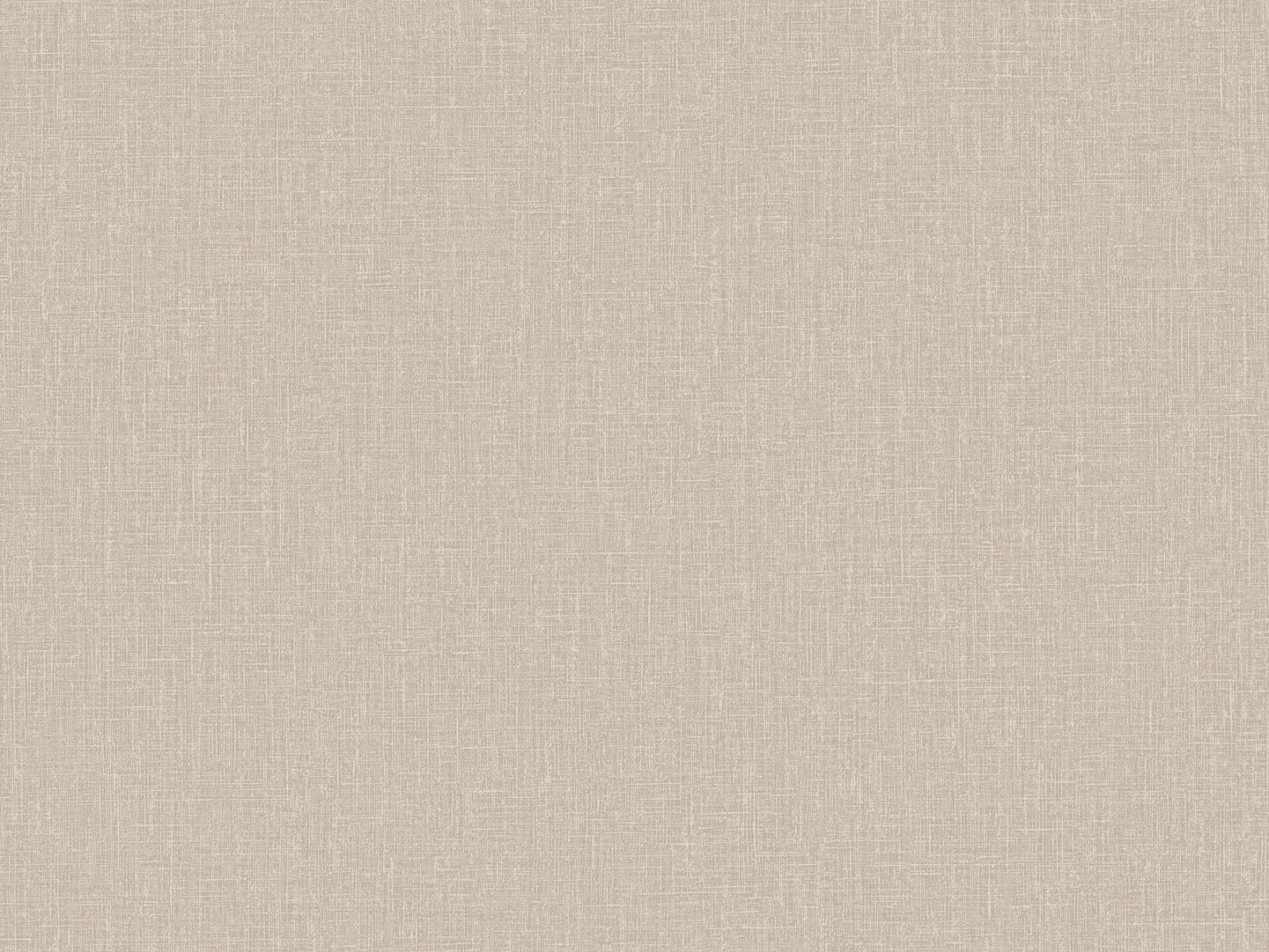 HookedOnWalls Neutralizer Plain - 31606