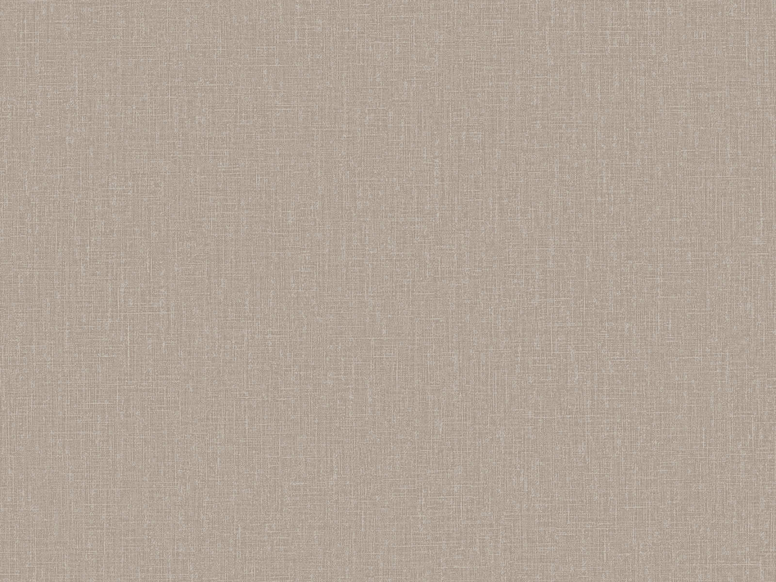 HookedOnWalls Neutralizer Plain - 31613
