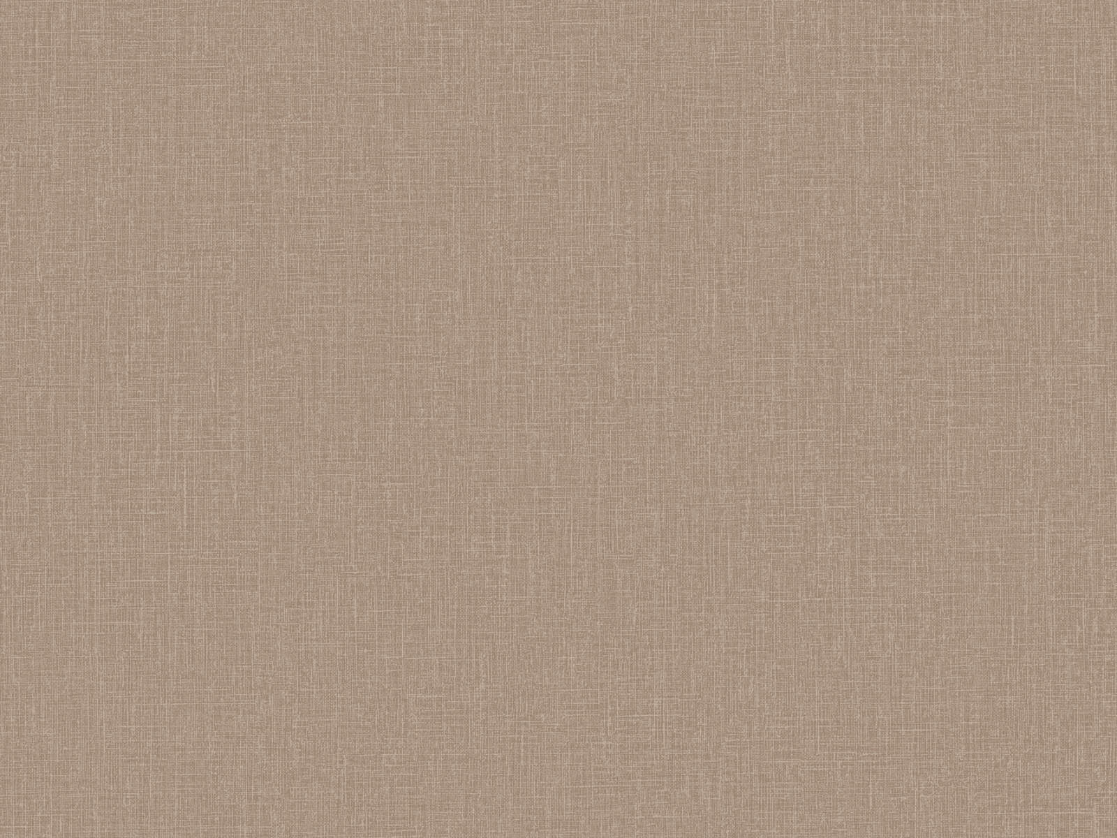 HookedOnWalls Neutralizer Plain - 31614