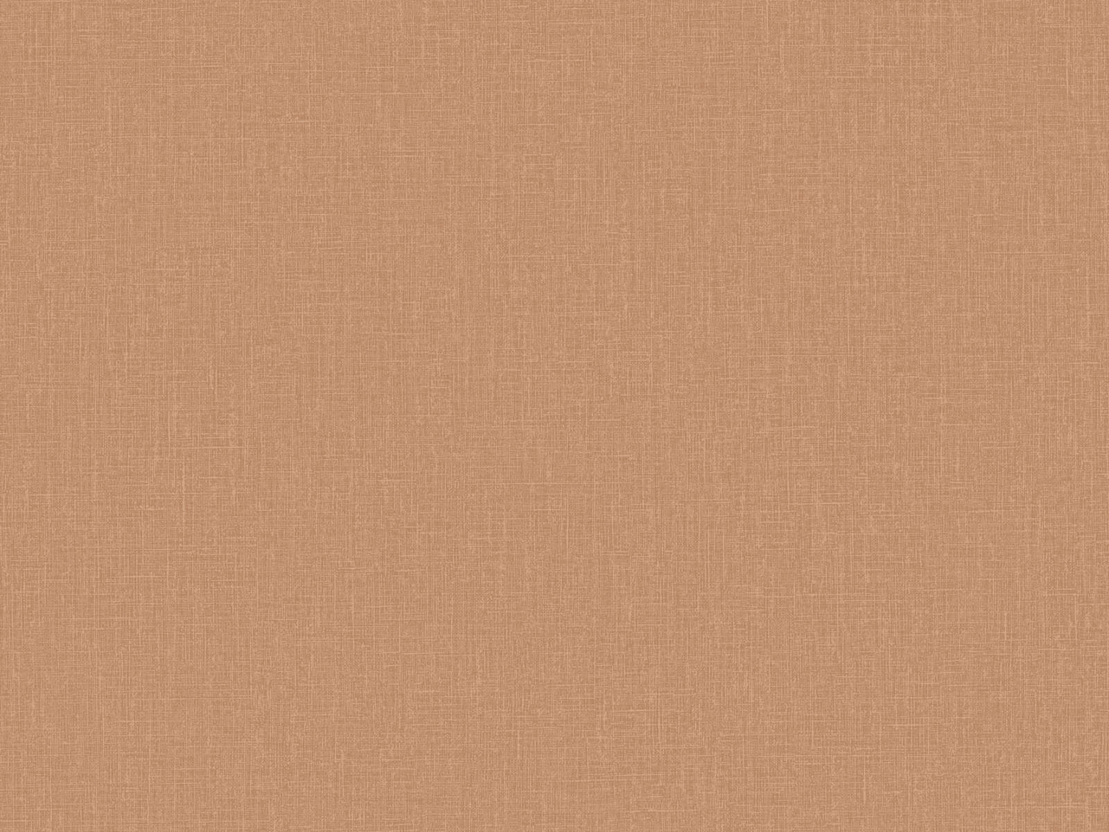 HookedOnWalls Neutralizer Plain - 31620