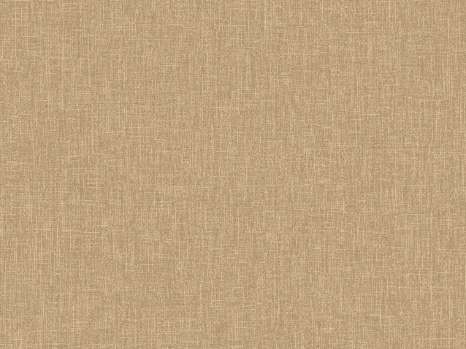 HookedOnWalls Neutralizer Plain - 31622