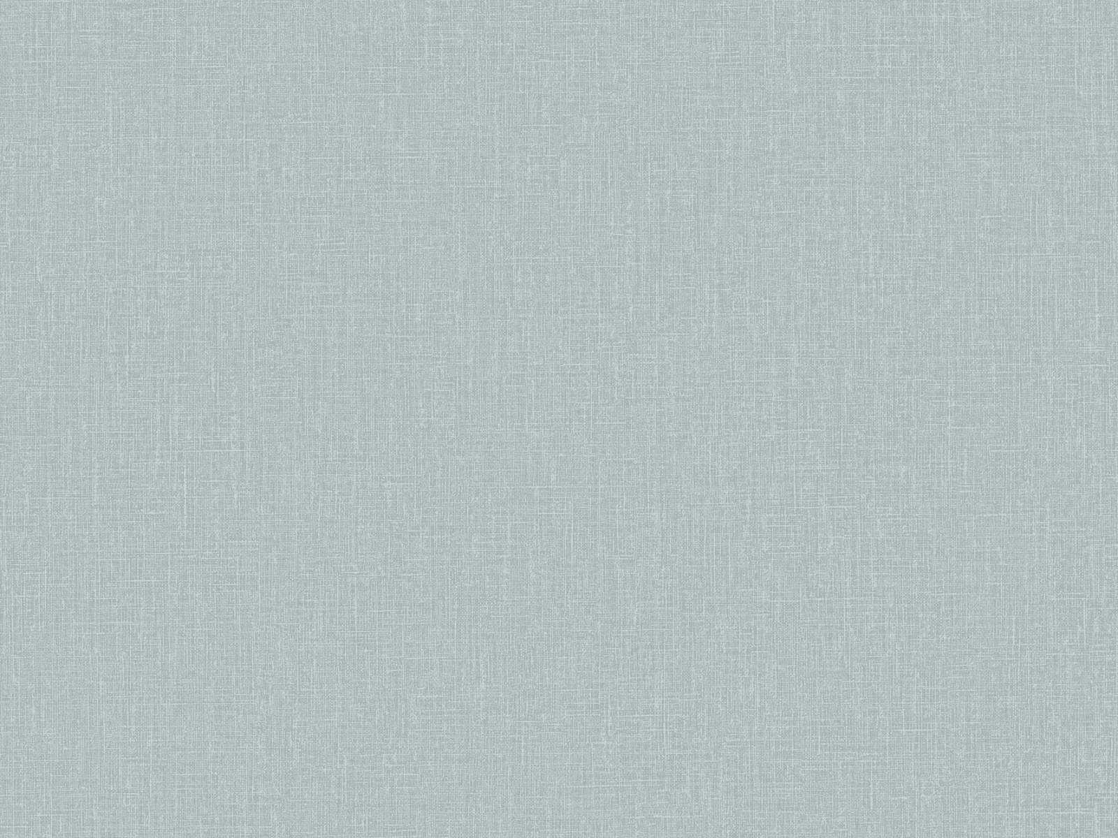 HookedOnWalls Neutralizer Plain - 31626
