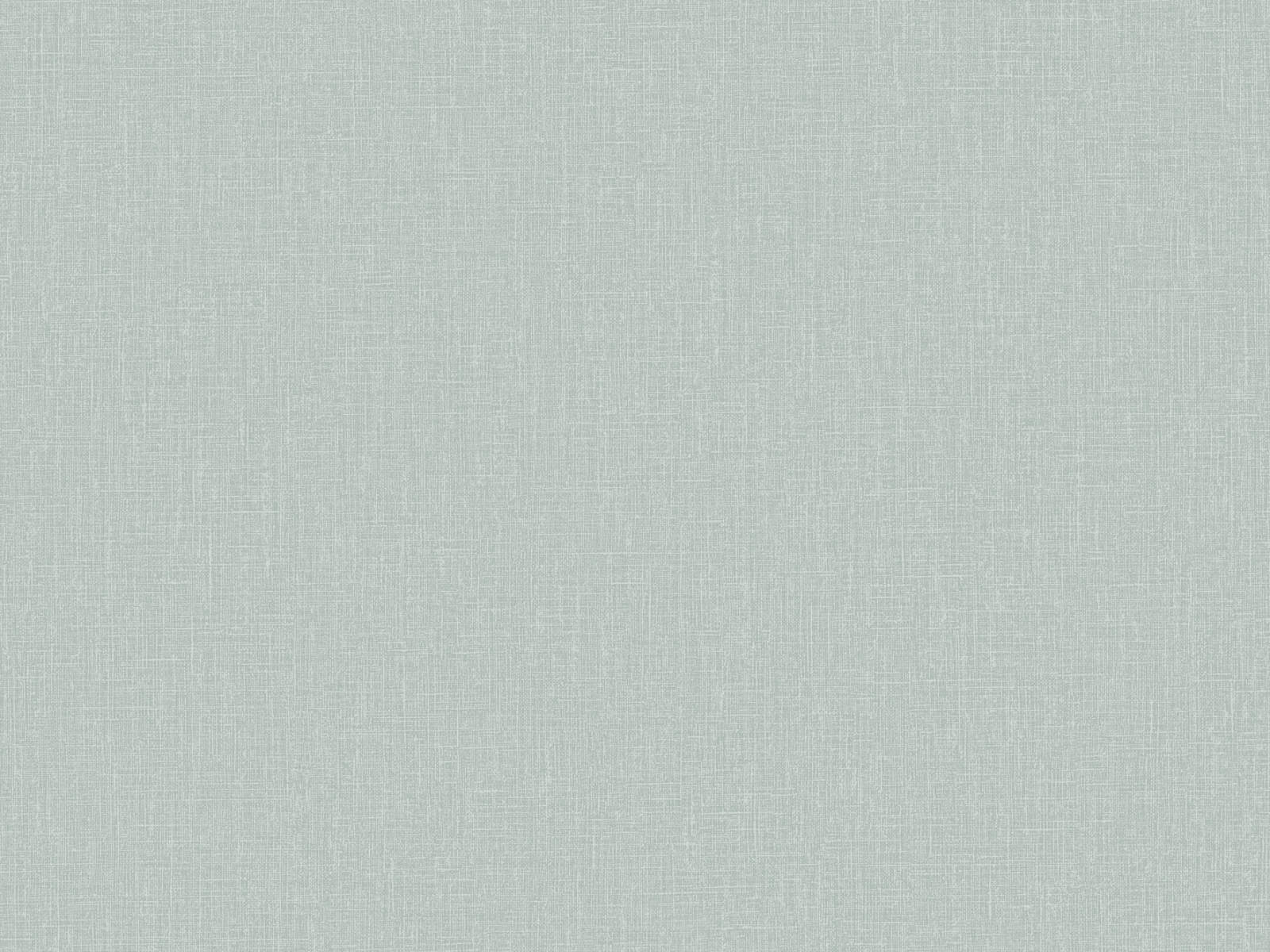 HookedOnWalls Neutralizer Plain - 31627