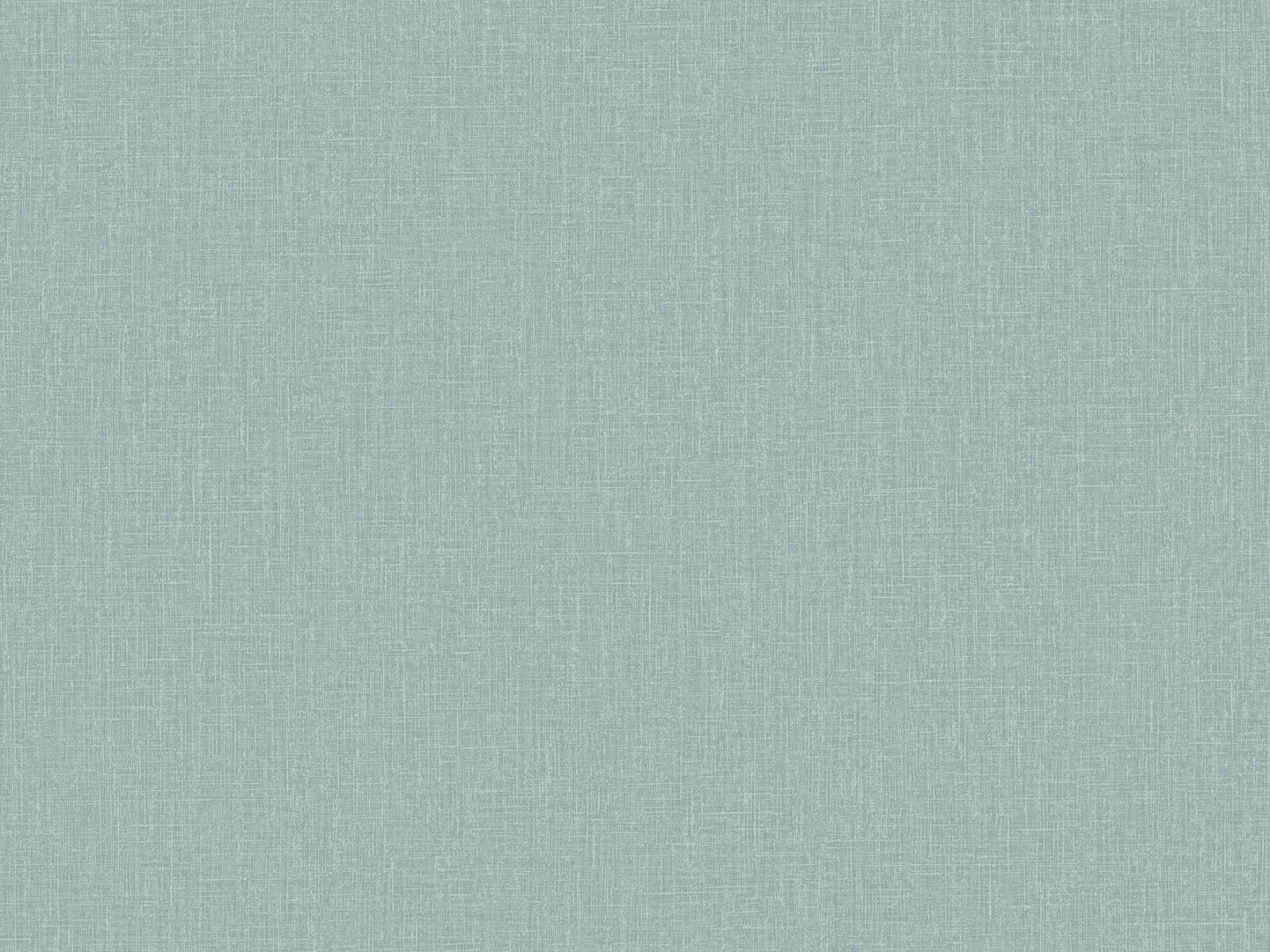 HookedOnWalls Neutralizer Plain - 31629