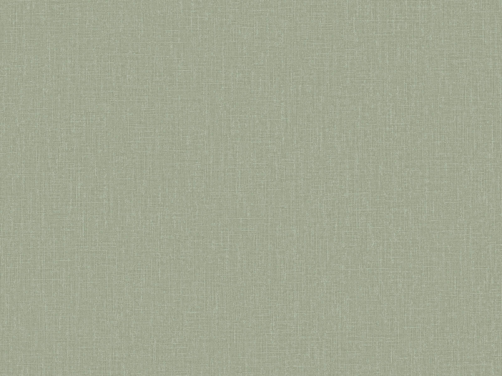 HookedOnWalls Neutralizer Plain - 31631