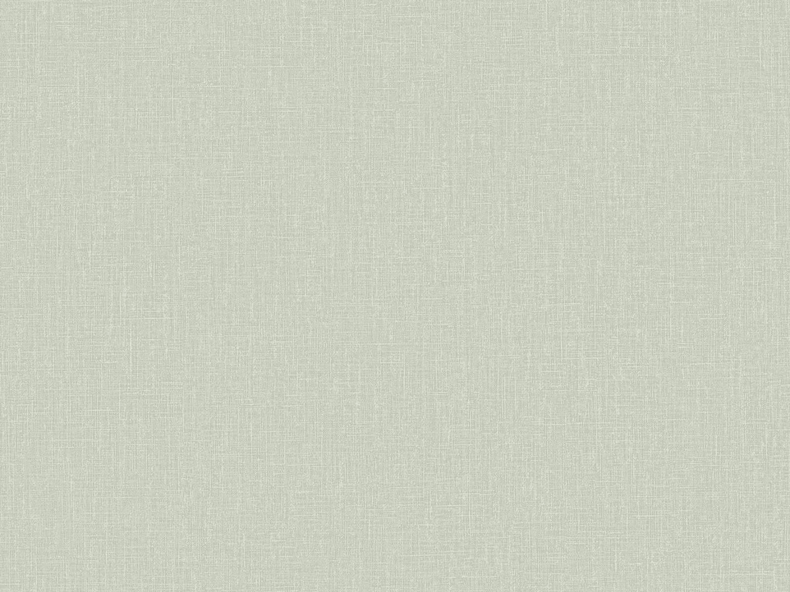 HookedOnWalls Neutralizer Plain - 31632