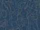 HookedOnWalls Silhouete Model Lines - 34840