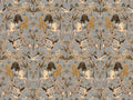 HookedOnWalls Marta Cortese Magic Animals - 37852