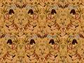 HookedOnWalls Marta Cortese Magic Animals - 37853