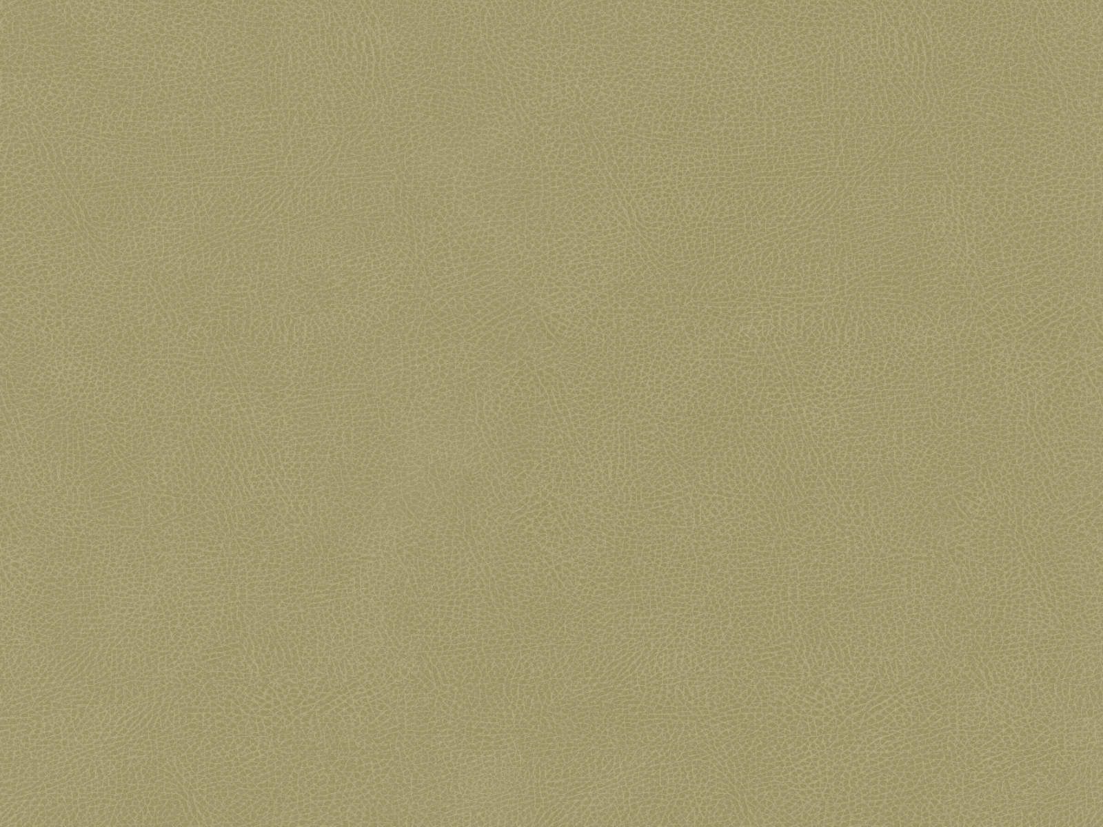 Hookedonwalls Milano Pelle - 42873