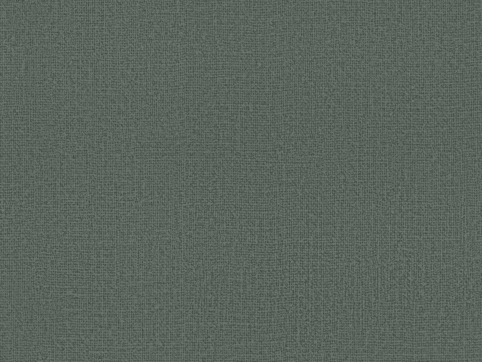HookedOnWalls Passe Partout Tone On Tone - 4561