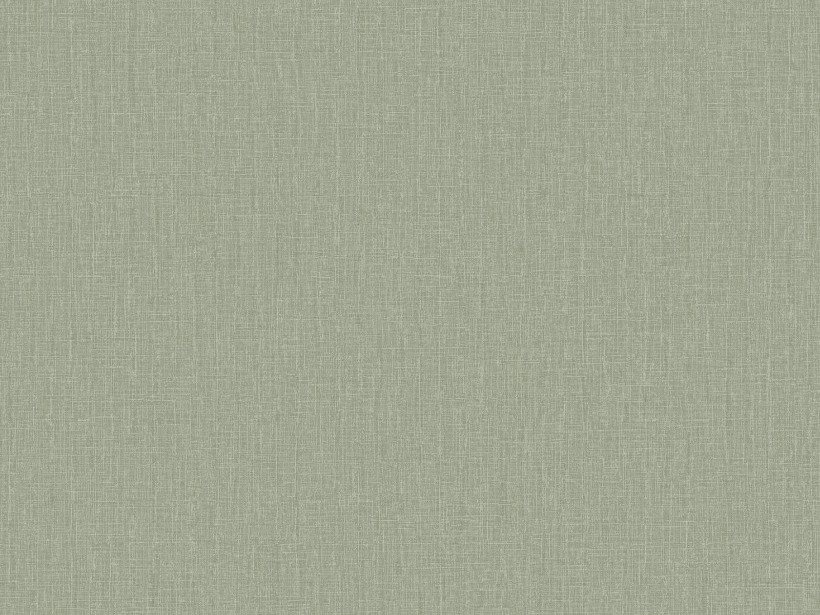 HookedOnWalls Passe Partout Tone On Tone - 4565