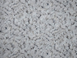 HookedOnWalls Liaison Lunaria - 46311