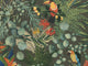 HookedOnWalls Lemuria Parrot - 60623
