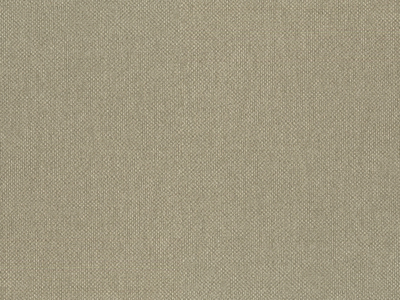 HookedOnWalls Lemuria Baobab - 60632