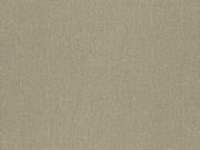 HookedOnWalls Lemuria Baobab - 60632