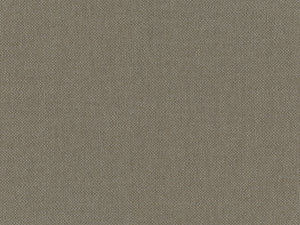 HookedOnWalls Lemuria Baobab - 60633