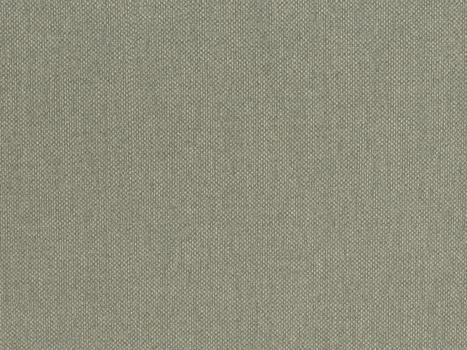 HookedOnWalls Lemuria Baobab - 60634