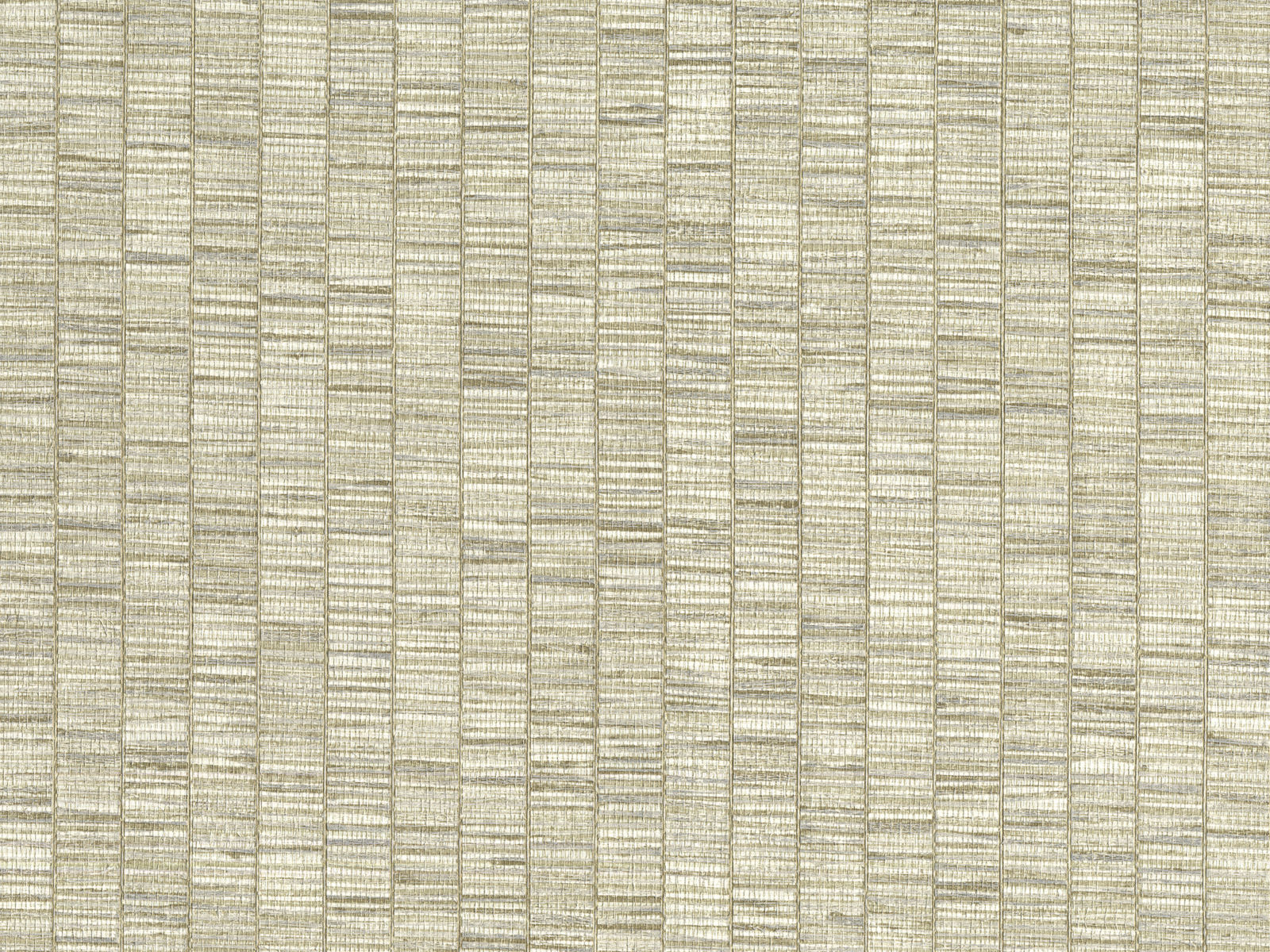 HookedOnWalls Lemuria Unito Ribbon Grass - 60651
