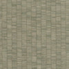 HookedOnWalls Lemuria Unito Ribbon Grass - 60653