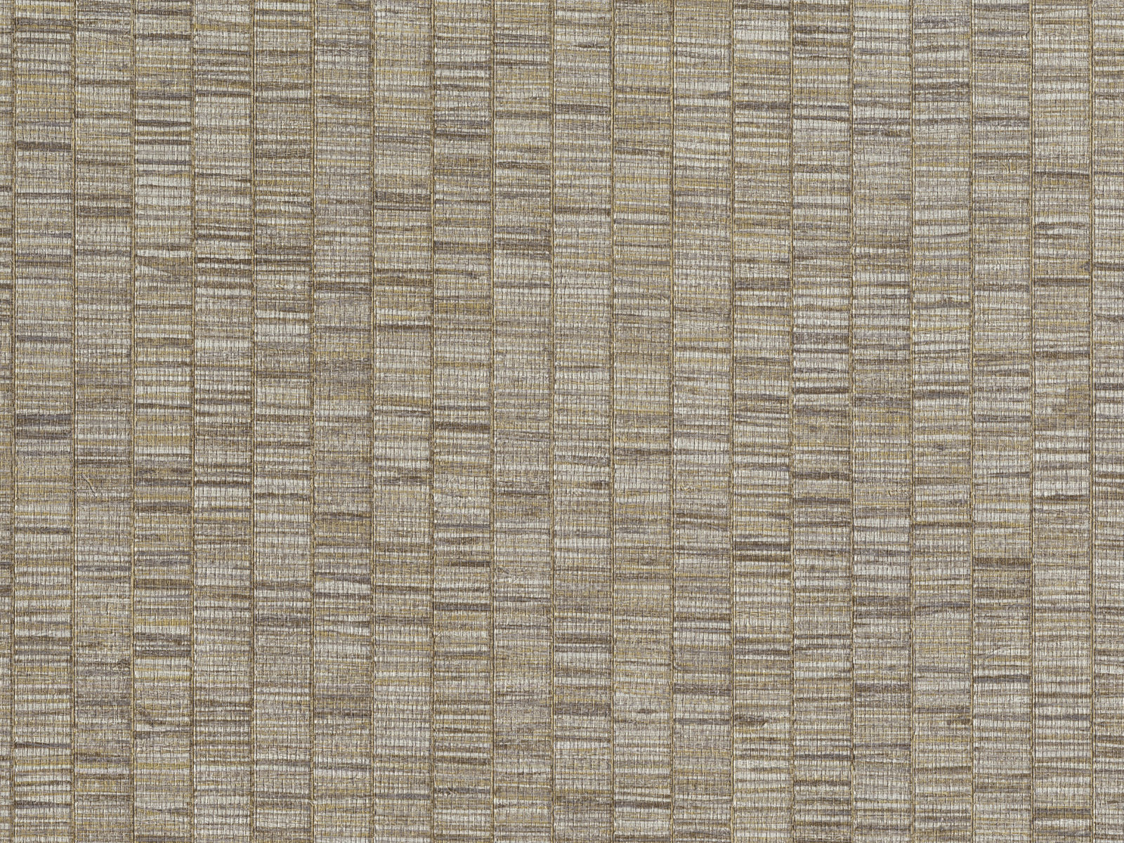 HookedOnWalls Lemuria Unito Ribbon Grass - 60655