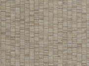 HookedOnWalls Lemuria Unito Ribbon Grass - 60655