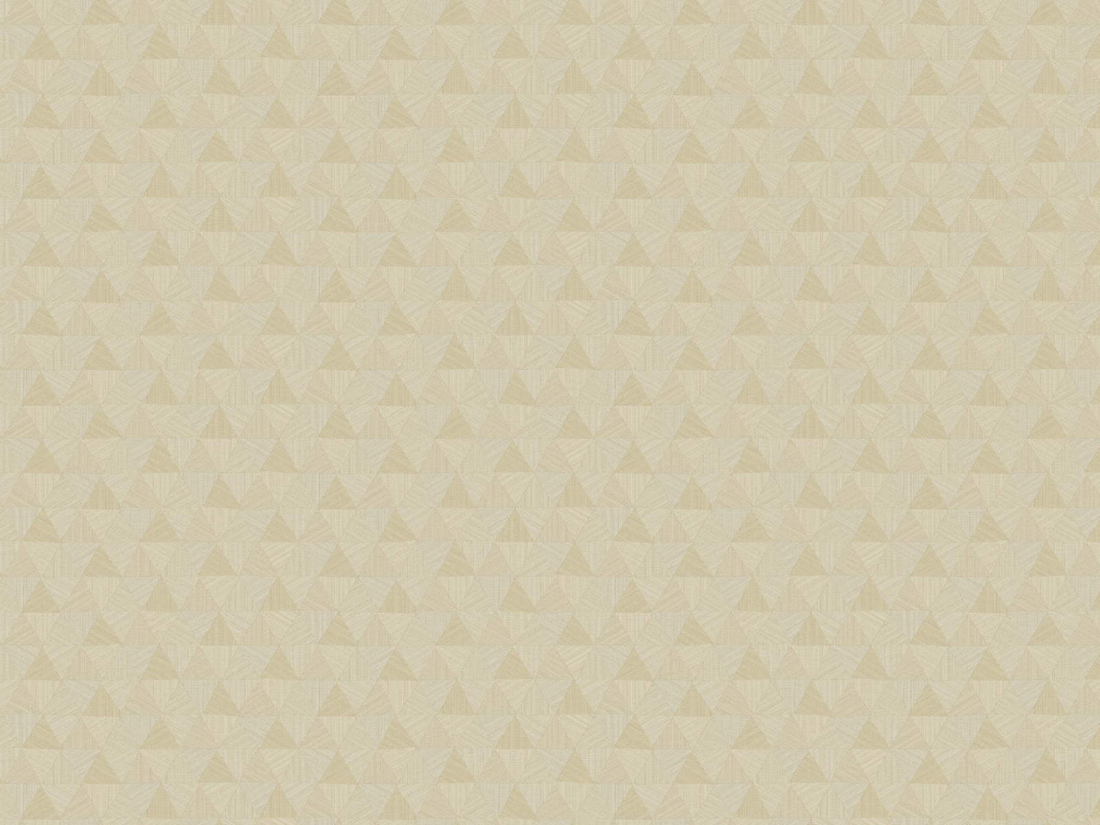 HookedOnWalls JV 602 Jaipur Triangles Tropicales - 6831