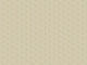 HookedOnWalls JV 602 Jaipur Triangles Tropicales - 6831